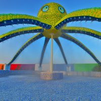 Octopus Rain Dance